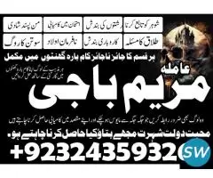 World Best Astrologer in Jaipur City