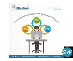 Custom Website Design and Development Services