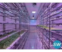 Hydroponic Fodder System for Feeding Livestock
