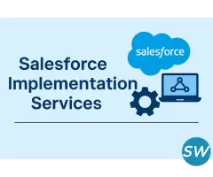Top Salesforce Implementation Partner Company - 1