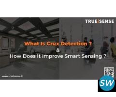 Presence Sensor vs True Presence Sensor in India