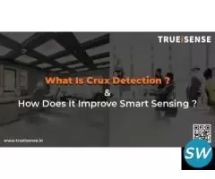 Presence Sensor vs True Presence Sensor in India - 1