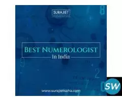 Best numerologist in india