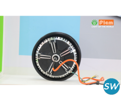 Leading Hub Motor Manufacturer - Fiem Industries