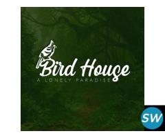 Paradise Logo Design Service