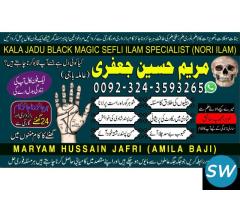 AI PAMIST ASTROLOGER