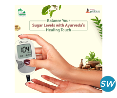 Best Ayurvedic Doctor For Diabetes In Delhi