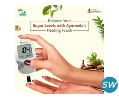 Best Ayurvedic Doctor For Diabetes In Delhi - 1
