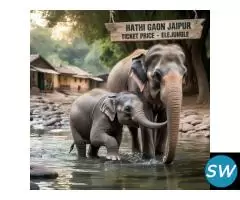 Hathi Gaon Jaipur Ticket Price and Entry Fee