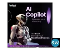 Thinking of AI Copilot for Business Growth?