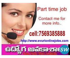 Completely Stressfree Online Data Entry Job
