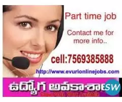 Completely Stressfree Online Data Entry Job