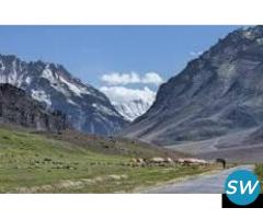 Manali Delights with Apple Country: 3 NIGHT
