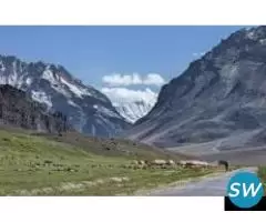 Manali Delights with Apple Country: 3 NIGHT - 1