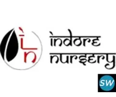 online indoor plants in indore