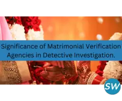 Detective Agency in Gurgaon - 1