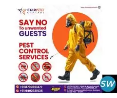 Best Flies and Spider Pest Control