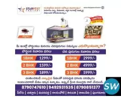 Best Flies and Spider Pest Control