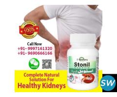 Dissolve Kidney Stone with Stonil Capsule