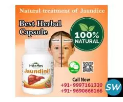 Best Herbal Treatment for Jaundice