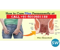 Ayurvedic doctor for piles in Ghazipur - 1