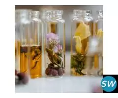 Discovering the Beauty of Budget Chypre Scents