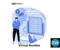 Virtual Number