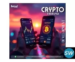 Real Crypto Winners Don’t Wait