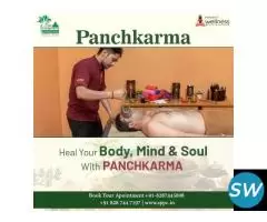 Best Ayurvedic Clinic In Delhi - 1