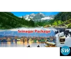 Srinagar Delights 4 Nights 5 days - 1