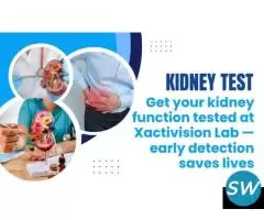 Kidney Function Test