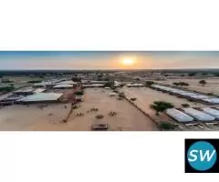 Plan Your Dream Wedding in Jodhpur - 3