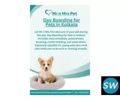 Day Boarding for Pets in Kolkata