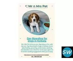 Day Boarding for Dogs in Kolkata