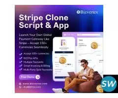 Stripe Clone Script - Free Demo