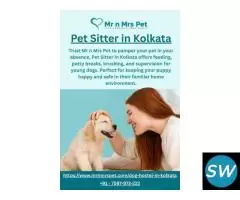 Pet Sitter in Kolkata