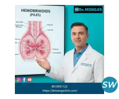 Ayurvedic treatment for piles in Sansadiya Soudh - 1