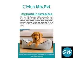 Dog Hostel in Ahmedabad