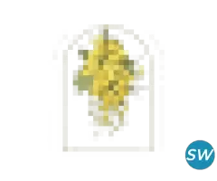 Private Pool Villas in Jaipur -- Anopura - 1