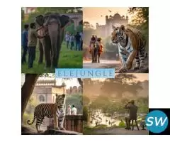 Book Your Jaipur Ranthambore Tour Package