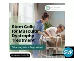Stem Cells for Muscular Dystrophy Treatment - 1