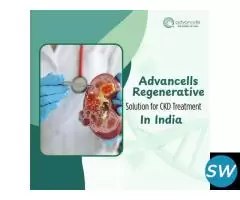 Regenerative Solution for CKD treatment - 1
