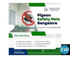 Professional Pigeon Safety Nets in Bangalore