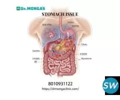 Doctor for stomach ulcer in Man Sarovar park