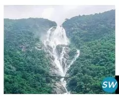 Go Goa at Unbeatable Price