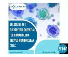 Human Blood Derived Mononuclear Cells - 1