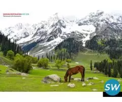 Srinagar Delights - 5