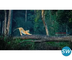 Corbett National  Park Package - 2