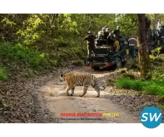 Corbett National  Park Package - 3
