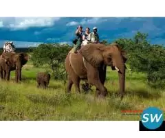 Corbett National  Park Package - 4